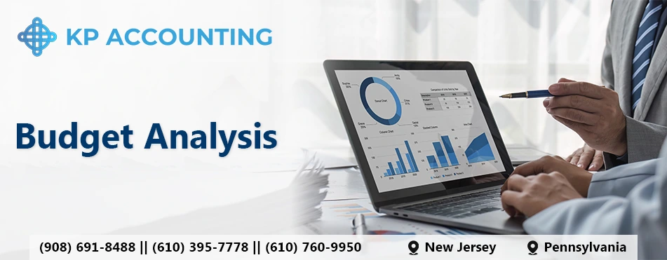 What is Budget Analysis